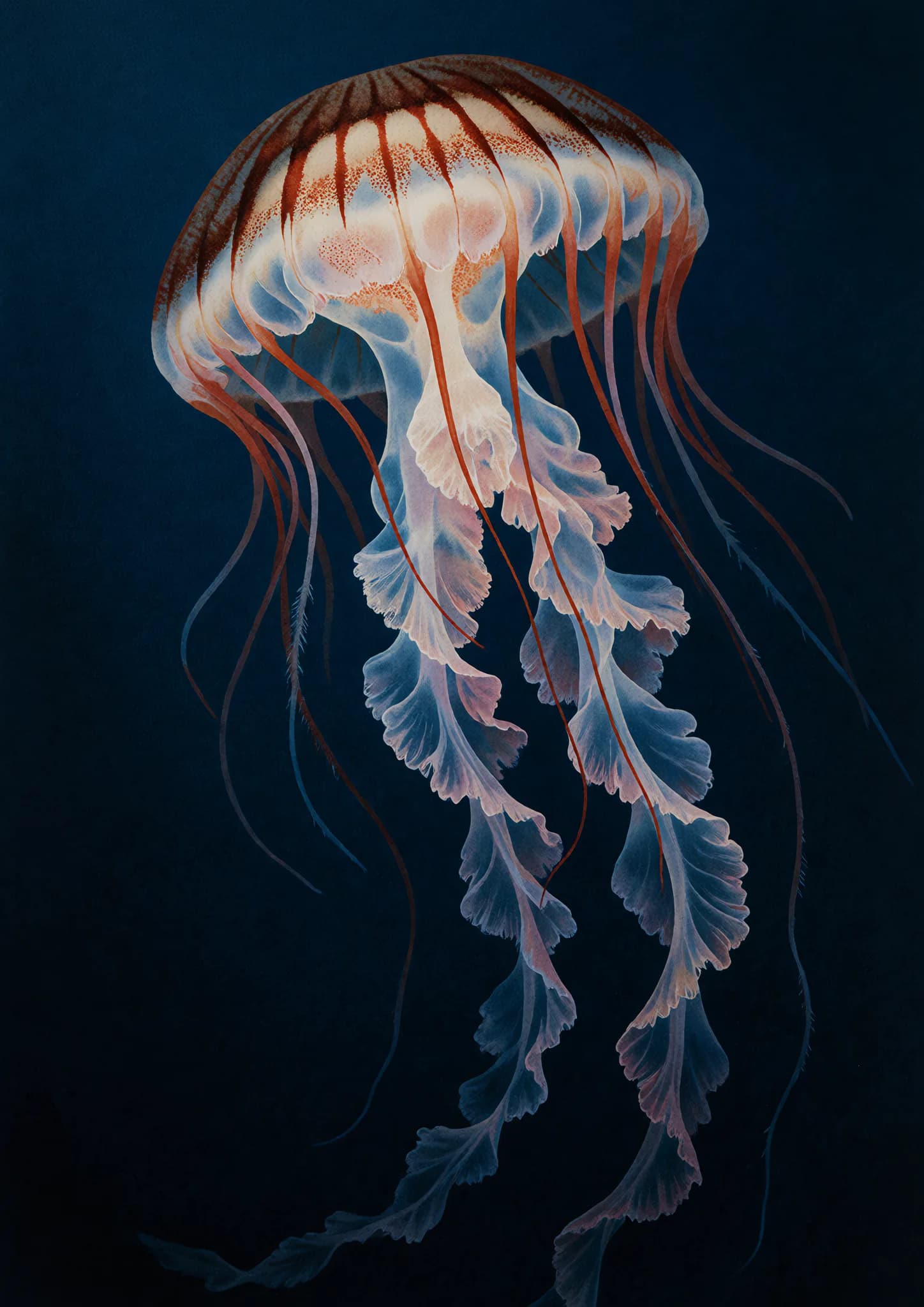Crystal Jelly Halo II