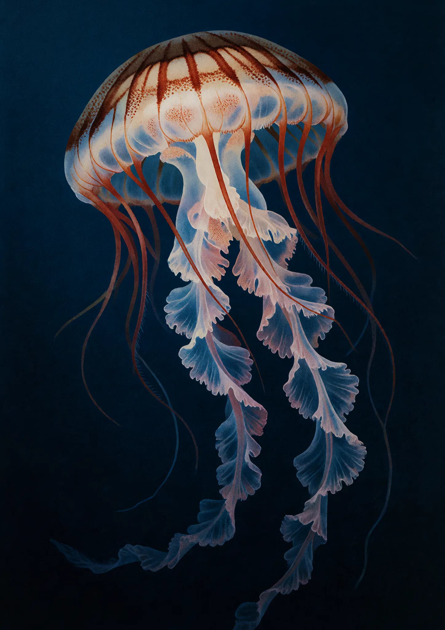 Sea Nettle Swirl